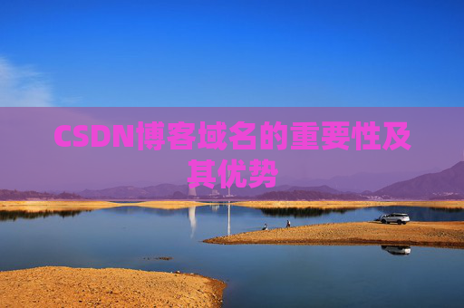 CSDN博客域名的重要性及其优势